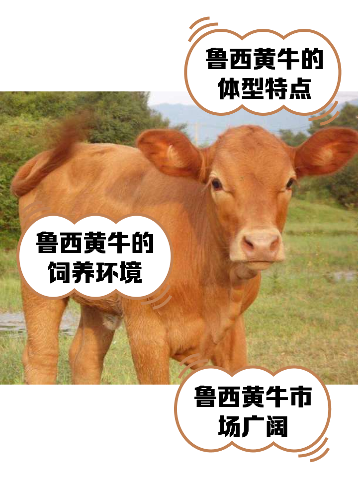 临海最新医保取现黄牛方法分析(最方便真实的临海医保取现黄牛怎么取方法)